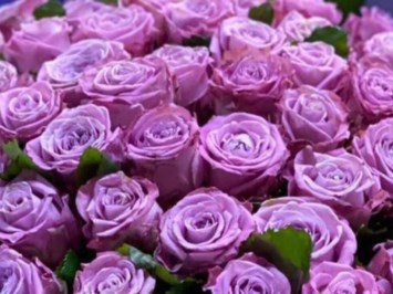 Obituary of Margarita Lopez Gonzalez