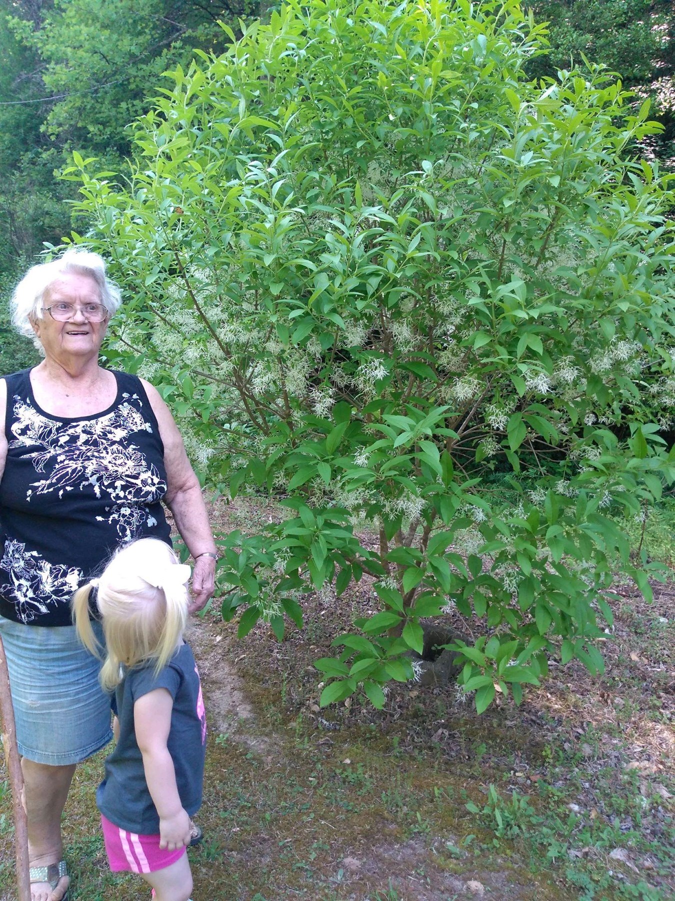 Obituary of Edith Lee Philyaw