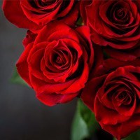 Obituary of Wanda Gail Owens