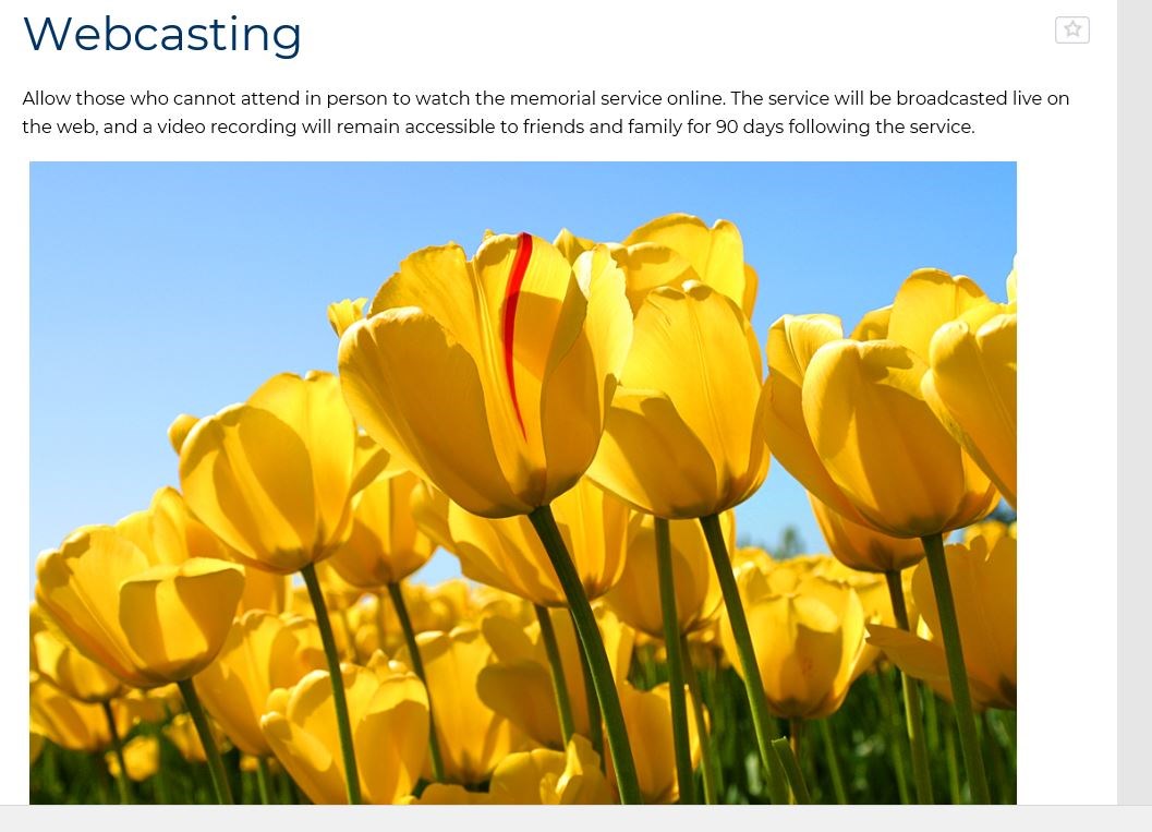 Obituary of Marilyn Jean (née Hainsworth) Wright