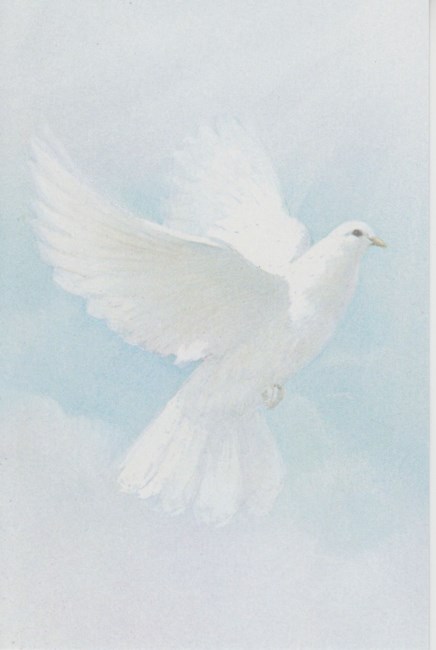 Obituary of Lydia Martínez Dones