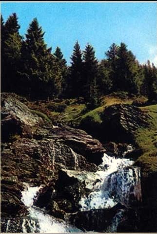 Obituary of Dennis Lawrence McGuire