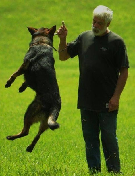 Obituary of Gary Robert Abbey