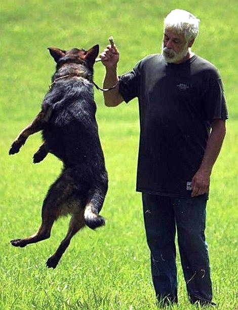 Obituary of Gary Robert Abbey