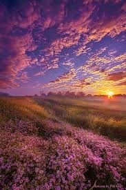 Obituary of Beverly Belle Guinane