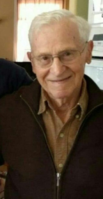 Obituary of Murray Louis Greenspan