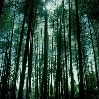 Obituary of Harold James Whitham