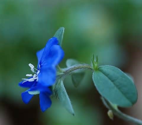 Obituary of David E. Floyd