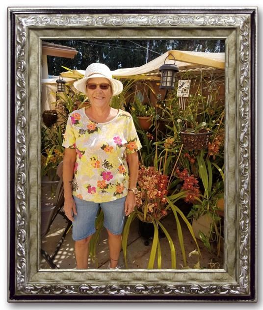 Obituary of Lisa Ann Peterson