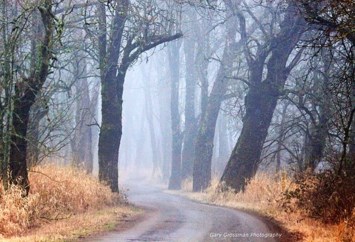 Obituary of Philip Gordon Braithwaite