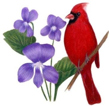 Obituary of William Ralph Wright