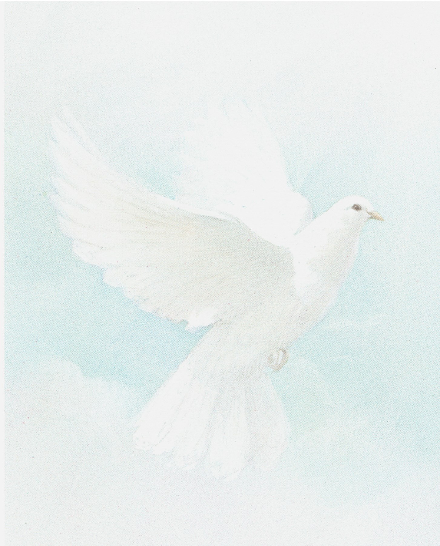 Obituary of Evangelina Garcia