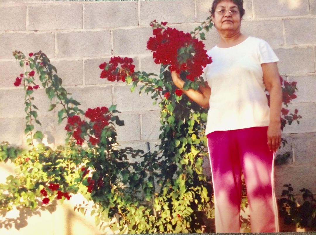 Obituary of Bertha Burciaga