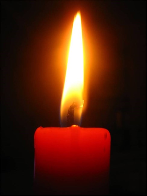 Obituary of Barbara A. Oshinski