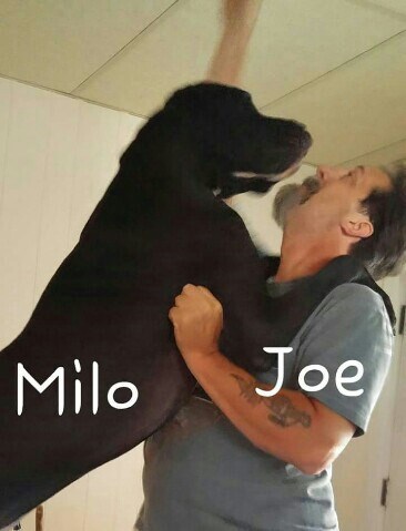 Obituary of Joseph Alan Hassler