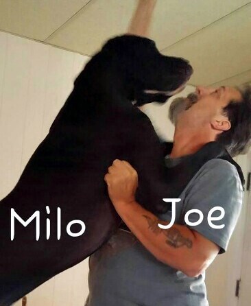 Obituary of Joseph Alan Hassler