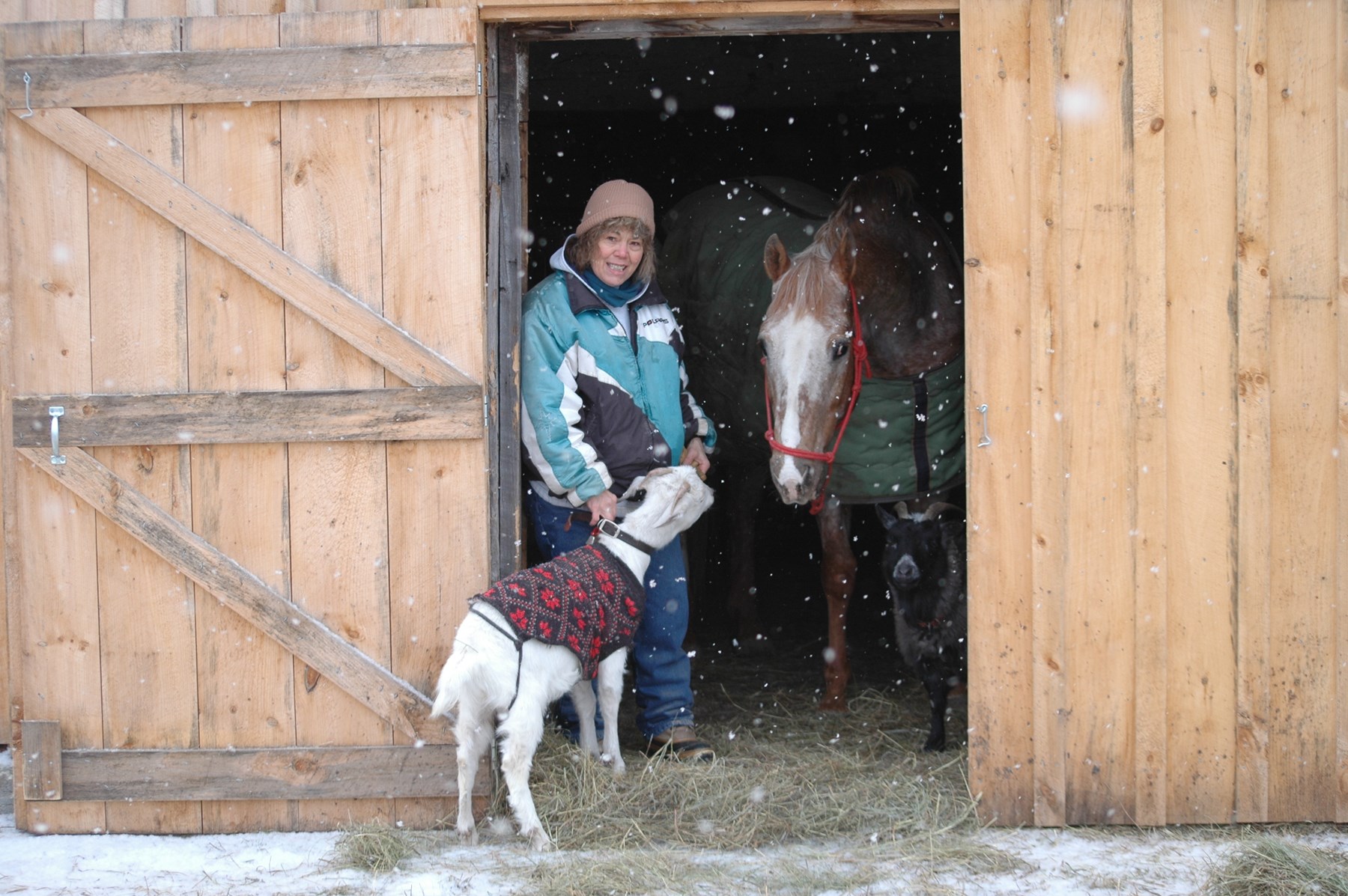 Obituary of Carolyn L. Doll-Geiger