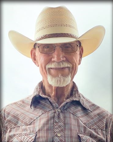 Obituary of David Albert Vogel