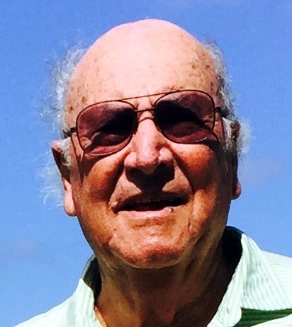 Obituary of Lee David Goldstein