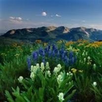 Obituary of Lawrence Conrad Schmehl