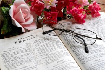 Obituary of Jean Bonner Palmer