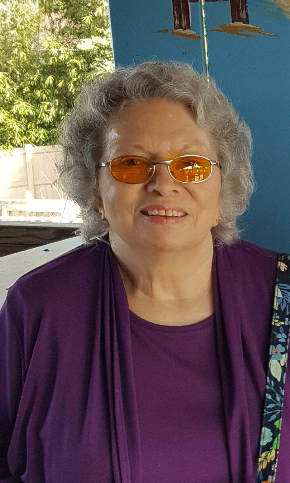 Obituary of Mary Ellen Davies Willis