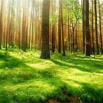 Obituary of Jerry Bradner