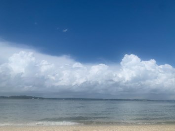 Obituary of Jeffrey J Richman