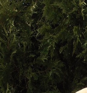 John RAFUSE Obituary - Alexandria, VA