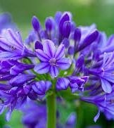 Avis de décès de Eleanor Taylor