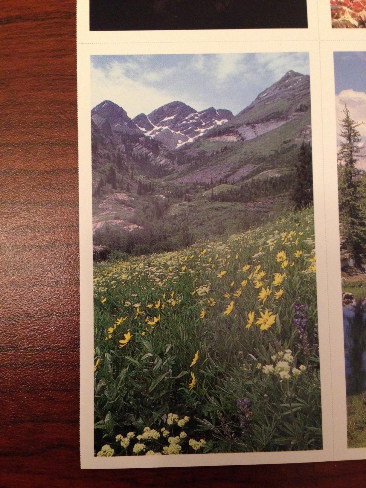 Obituary of Lilia Marie Beauchamp