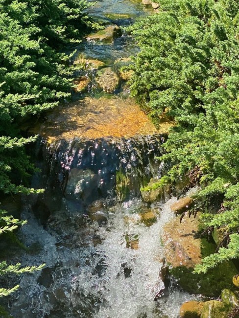 Obituary of John Thomas Amber