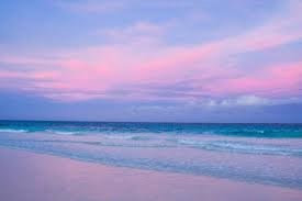 Obituary of Catherine M Weisse