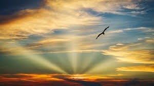 Obituario de William Ashley Simpson Jr.