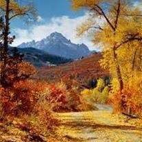 Obituary of Hector J. Chamberlain