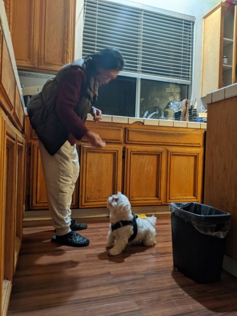 Obituary of Va A Lam