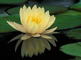 Obituary of Richard Elton Rutledge