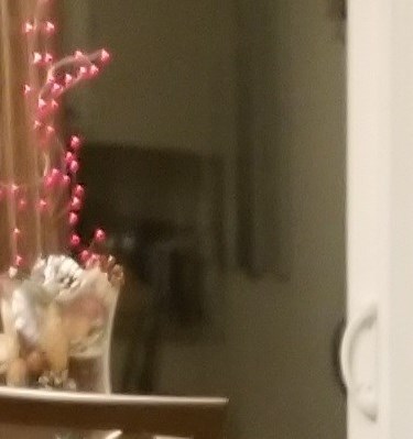 Steven Orick, Obituary - St. Louis, MO