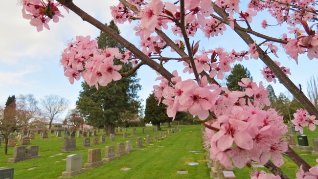 Obituary of Helen Harano Christ