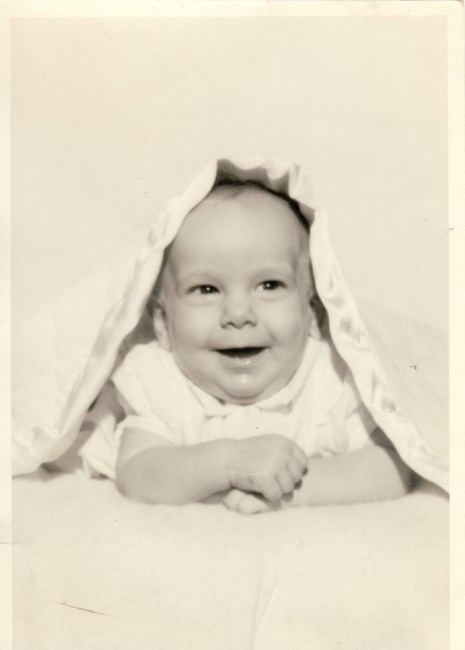 Obituary of Lisa DiPietro