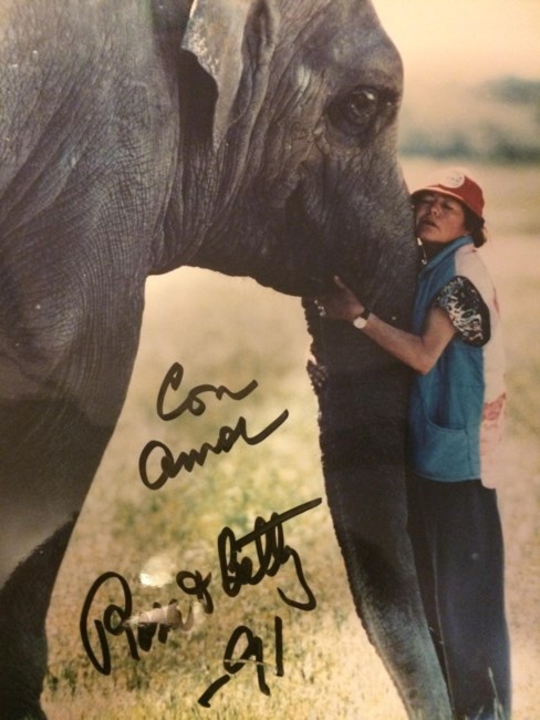 Obituary of Rosa Maria Gibbs