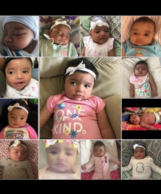 Obituario de Kayla Amezcua