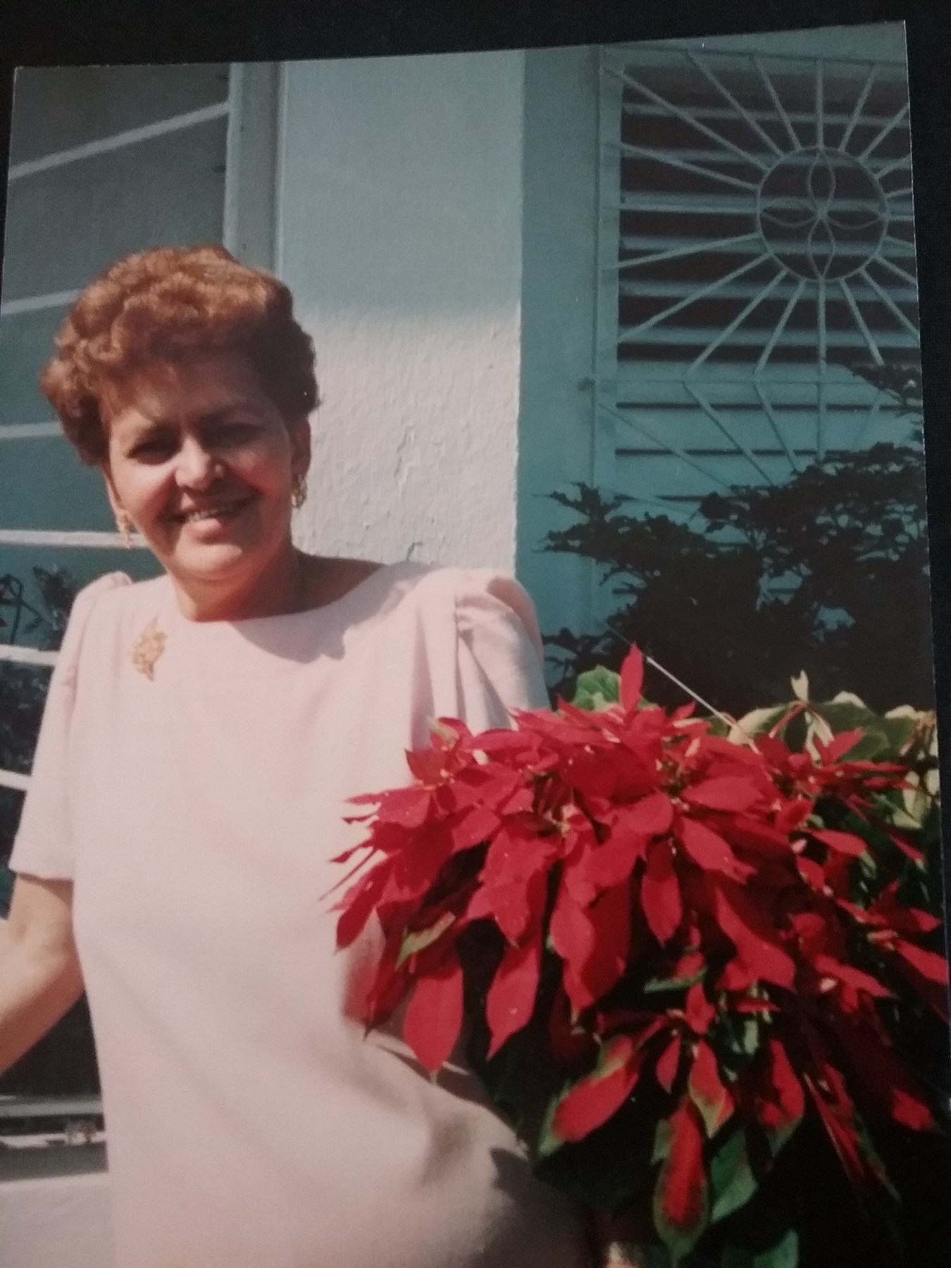 Obituary of Luz Delia Vega Andújar