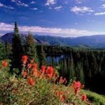 Obituary of Theresa Ann Williams