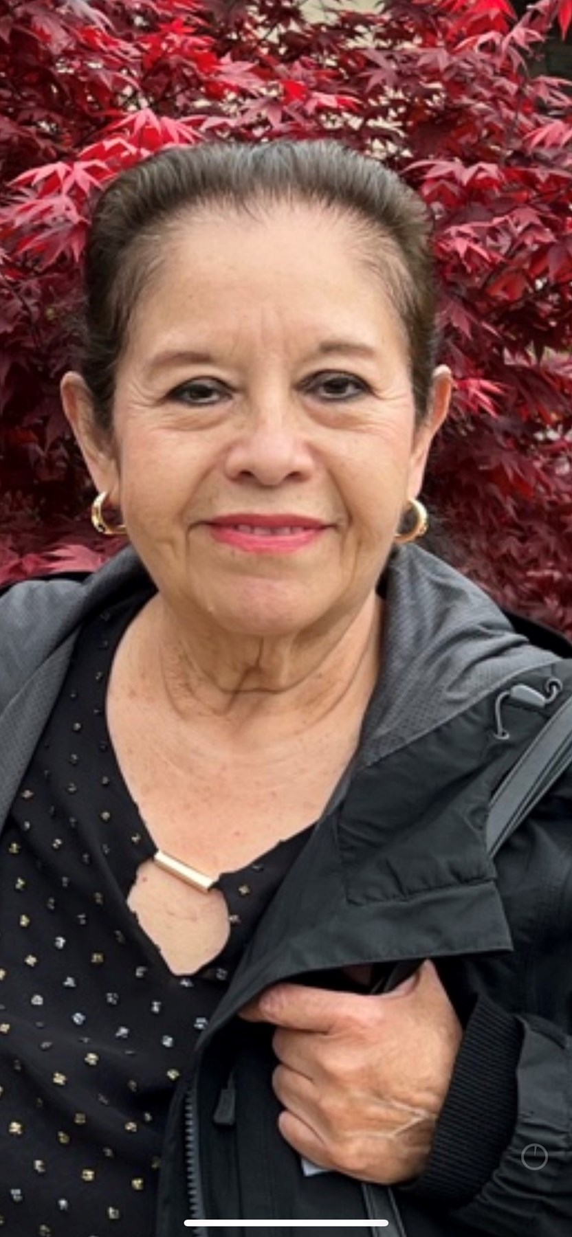 Obituary of Minerva Trevino Gutierrez