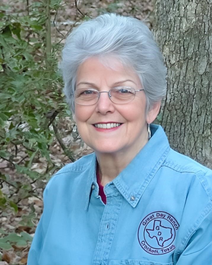 Nancy Dees Obituary Sugar Land, TX