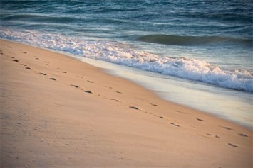 Obituary of Benjamin Edward Lutz