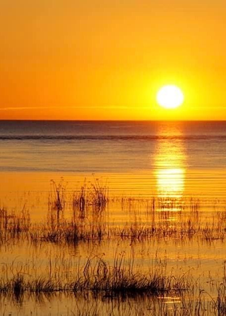 Obituary of Tong Sang Chieng