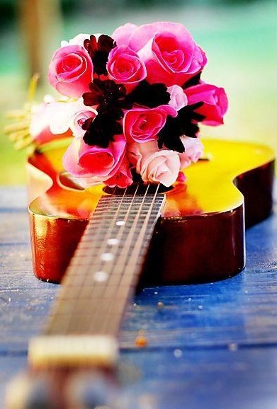 Obituario de Dorothy Louise Hall