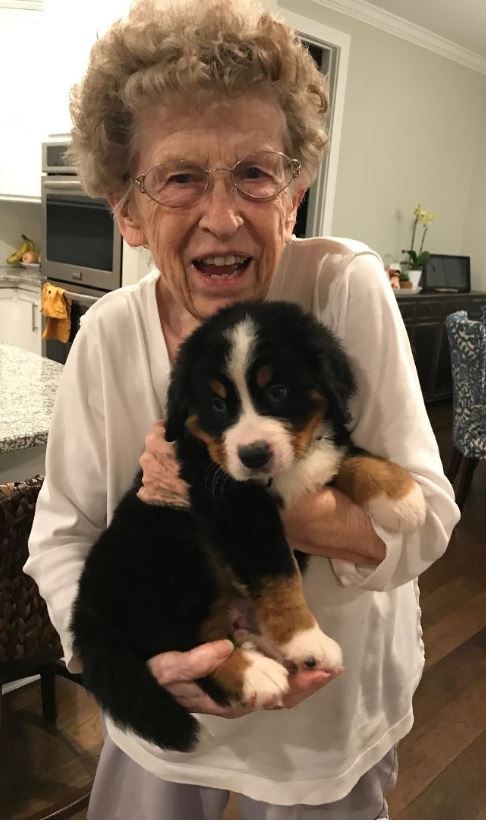 Obituary of Mary Ann Miller